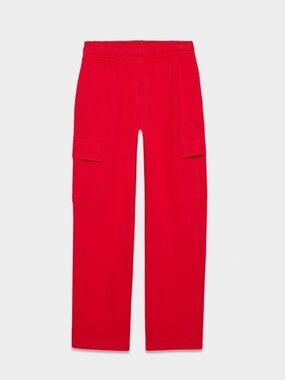 Aritzia mega cargo sweats